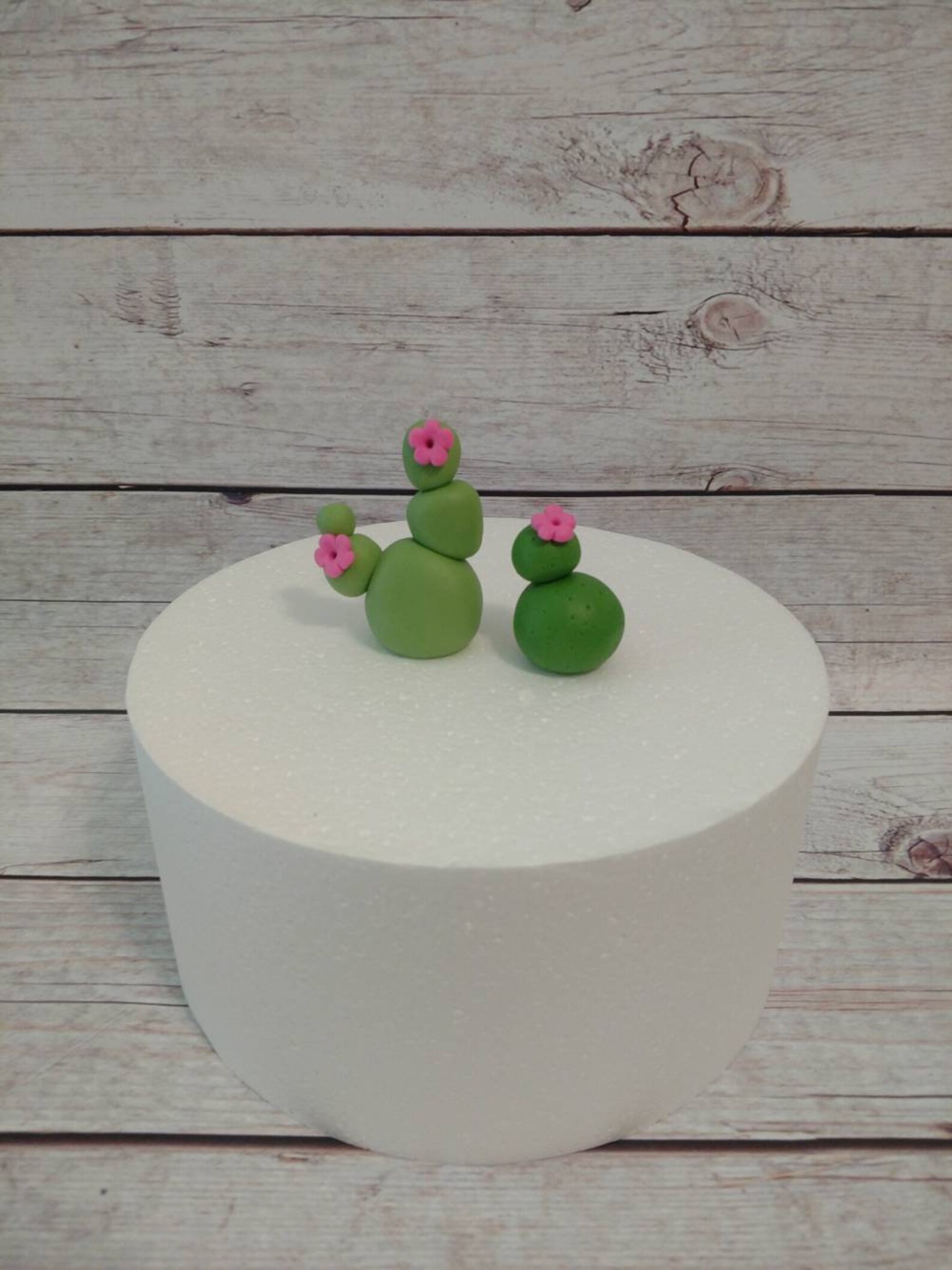 Fondant Cactus Cake Toppers Cactus Cake Topper Fondant Etsy