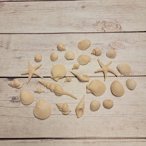 Fondant Shells -  Natural Shells Cake Toppers - Seashell Cupcakes - White Tan Shells - Beach Cake - Beach Wedding Cake