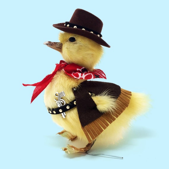 Image result for cowboy duck