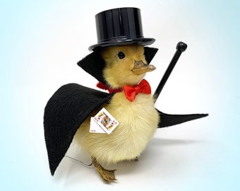 Taxidermy Duckling Magician, dollhouse, Top Hat, Curiosities, Cape, Cane, Duck, oddities, Dead Animals, Miniature, costume, goth