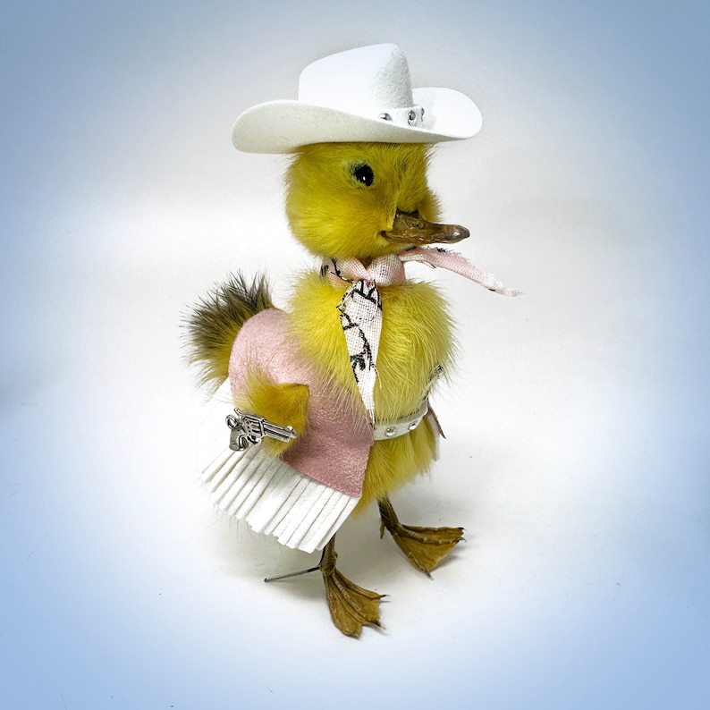 Taxidermia Vaquera, patito, Rosa, Vaquero, occidental, Animal Muerto, gótico, Regalo, Rarezas, Curiosidades, casa de muñecas, taxidermia extraña, inusual Cowboy/girl in Pink