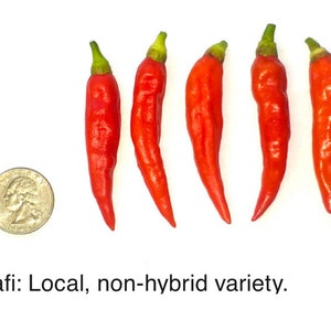Guam Donne Guafi Seeds, dried organic