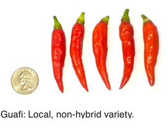 Guam Donne Guafi Seeds, dried organic