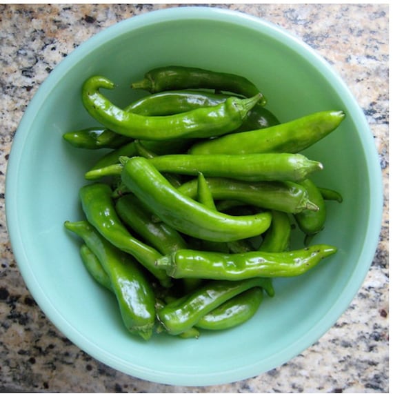 SINIGANG GREEN FINGER SILI HABA PEPPER SEEDS FILIPINO PHILIPPINES 30 PER PACK  