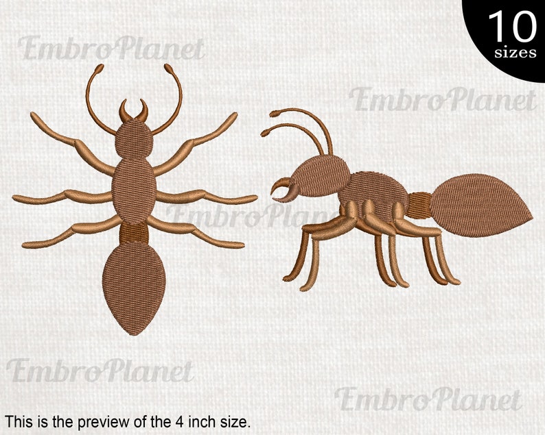 Ants Designs for Embroidery Machine Instant Download Digital Etsy