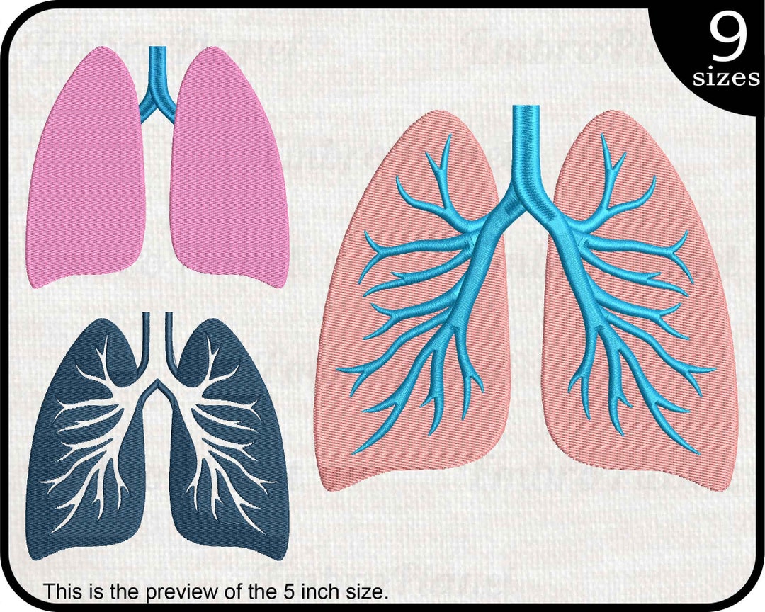 Lungs Designs for Embroidery Machine Instant Download Digital Embroidering Files Stitch Organ