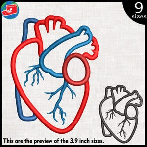 Può includere: Design di ricamo anatomico a forma di cuore in rosso e blu, con una versione più piccola in bianco e nero. Il design include il testo "This are the preview of the 9.9 cm sizes." L'immagine mostra anche il testo "9 sizes".