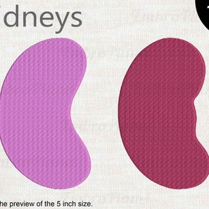 Kidneys - Designs for Embroidery Machine Instant Download digital embroidering files stitch 1698e