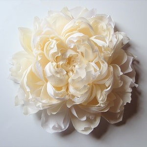 Pu&ograve; includere: Un grande fiore di carta color crema con molti strati di petali.