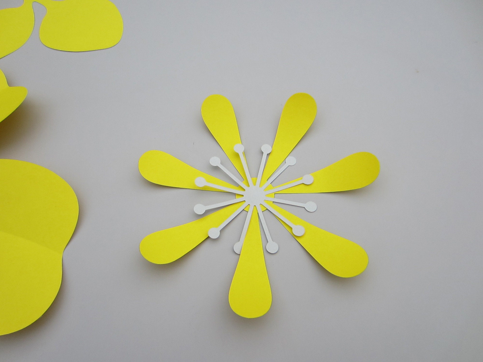 Paper Flower Wall Nursery Wall Decor Giant Paper Flowers Etsy