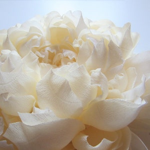 Peonia di carta crespa, grandi fiori di carta per parete, decorazione da parete con peonia per cameretta sopra la culla, fiori di carta crespa, opera d'arte con peonia, regalo con peonia