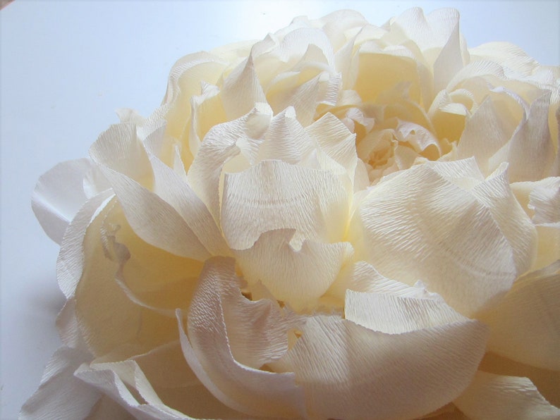 Pu&ograve; includere: Un grande fiore di carta bianco con molti strati di petali. Il fiore &egrave; fatto di carta stropicciata e ha un aspetto delicato e femminile.