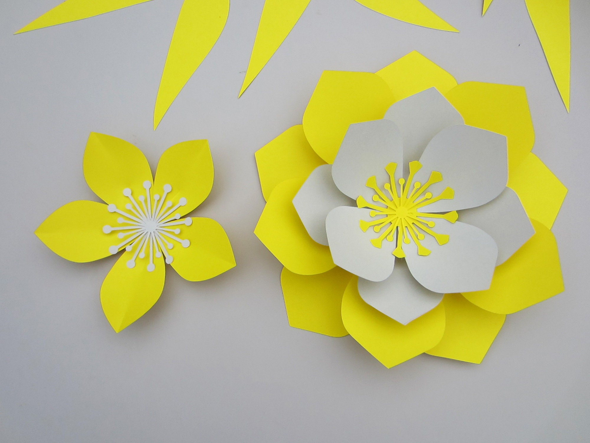 Paper Flower Wall Nursery Wall Decor Giant Paper Flowers Etsy