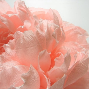 Regalo di peonia, peonia di carta crespa, grandi fiori di carta per parete, decorazione da parete di peonia per la cameretta sopra la culla, fiori di carta crespa, opera d'arte di peonia