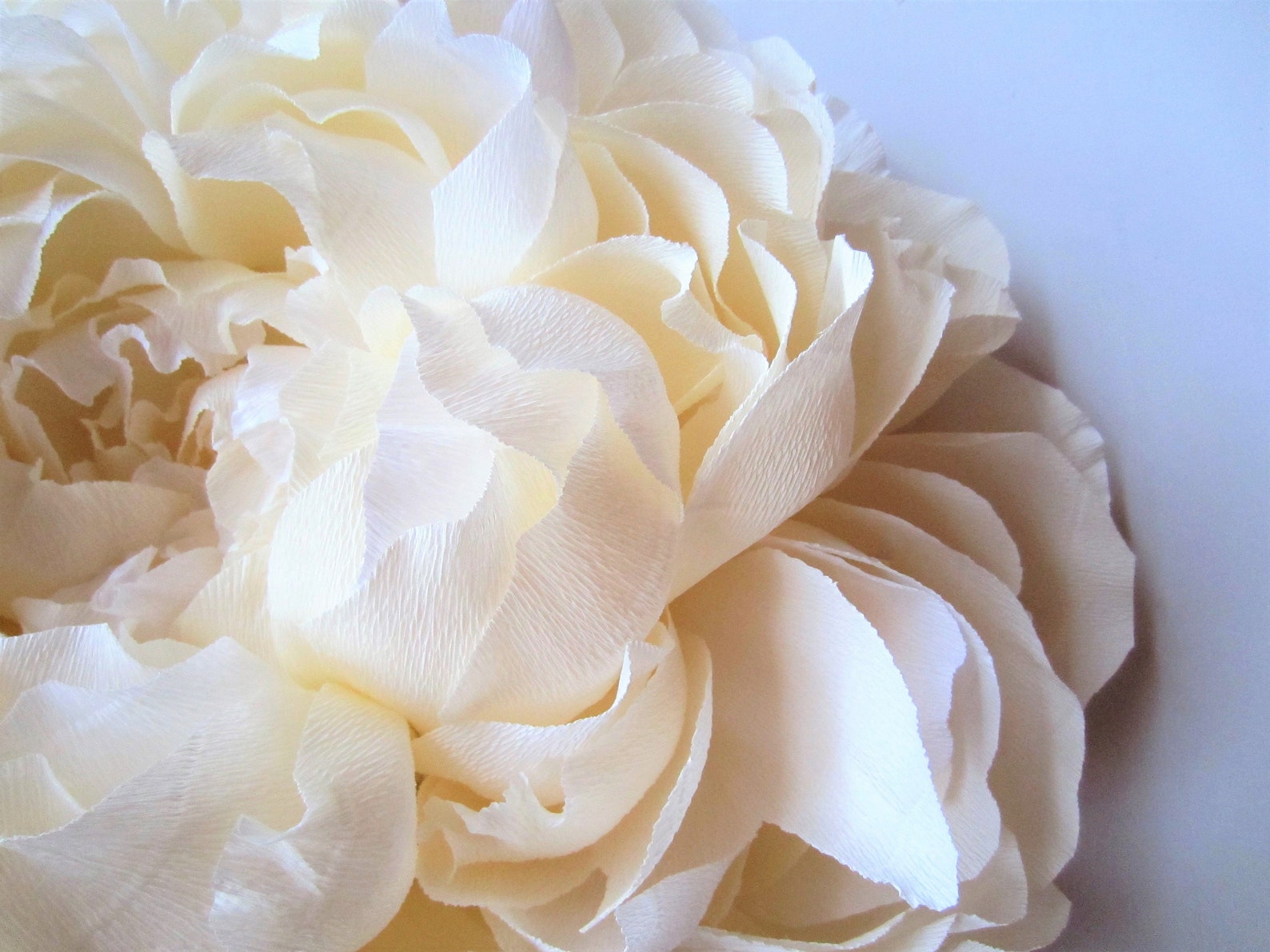 Crepe Paper Flower Wall Nursery Decor Nursery Wall Flowers Etsy