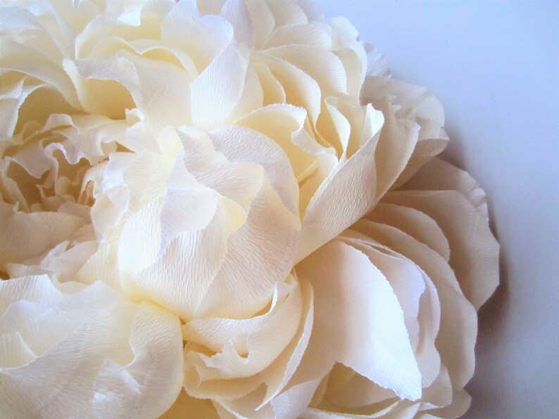 Pu&ograve; includere: Un grande fiore di carta color crema con molti strati di petali. Il fiore &egrave; fatto di carta delicata e stropicciata e ha un aspetto morbido e romantico.