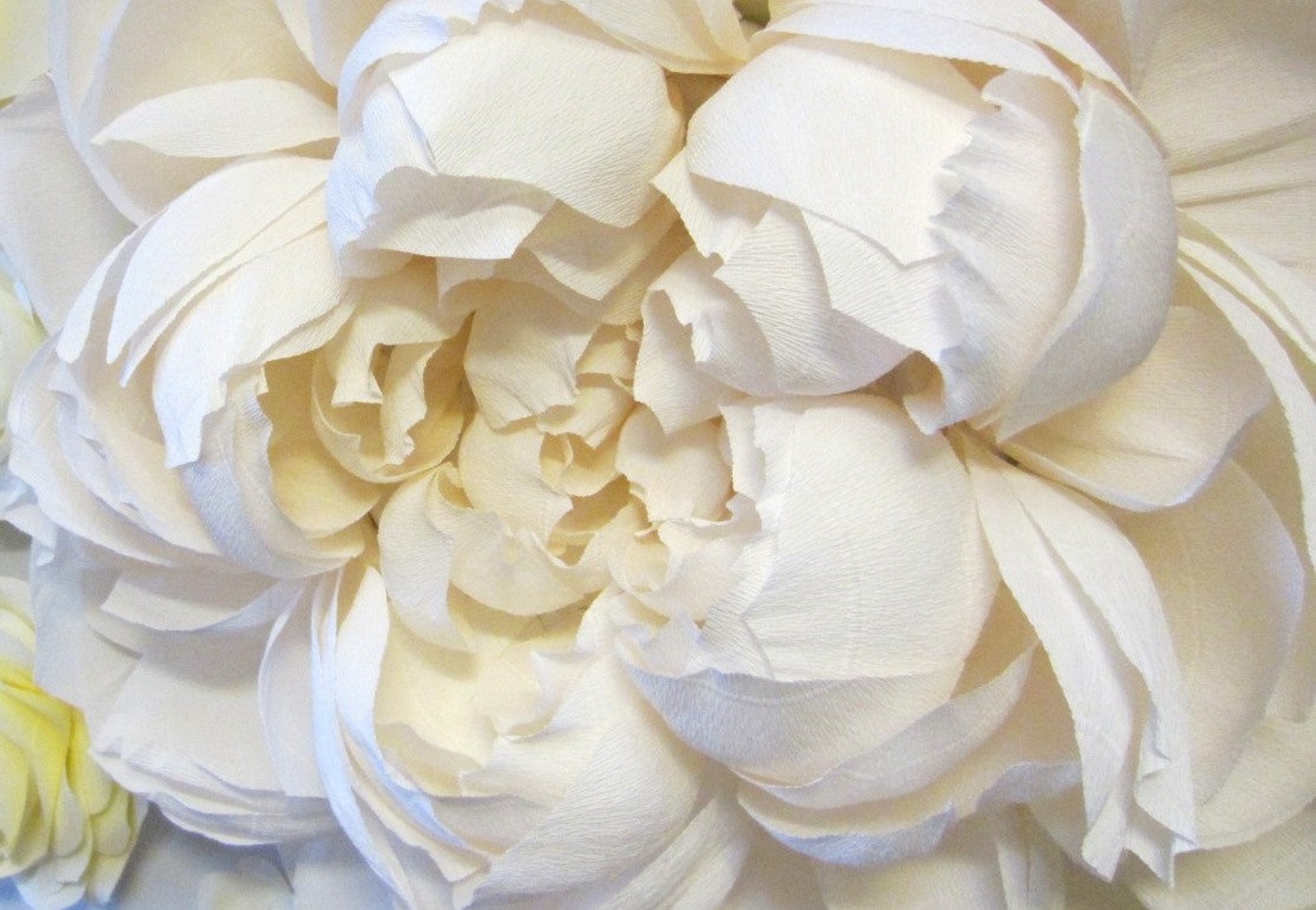 Wedding Backdrop of Crepe Paper Flowers Large Paper Flowers Etsy