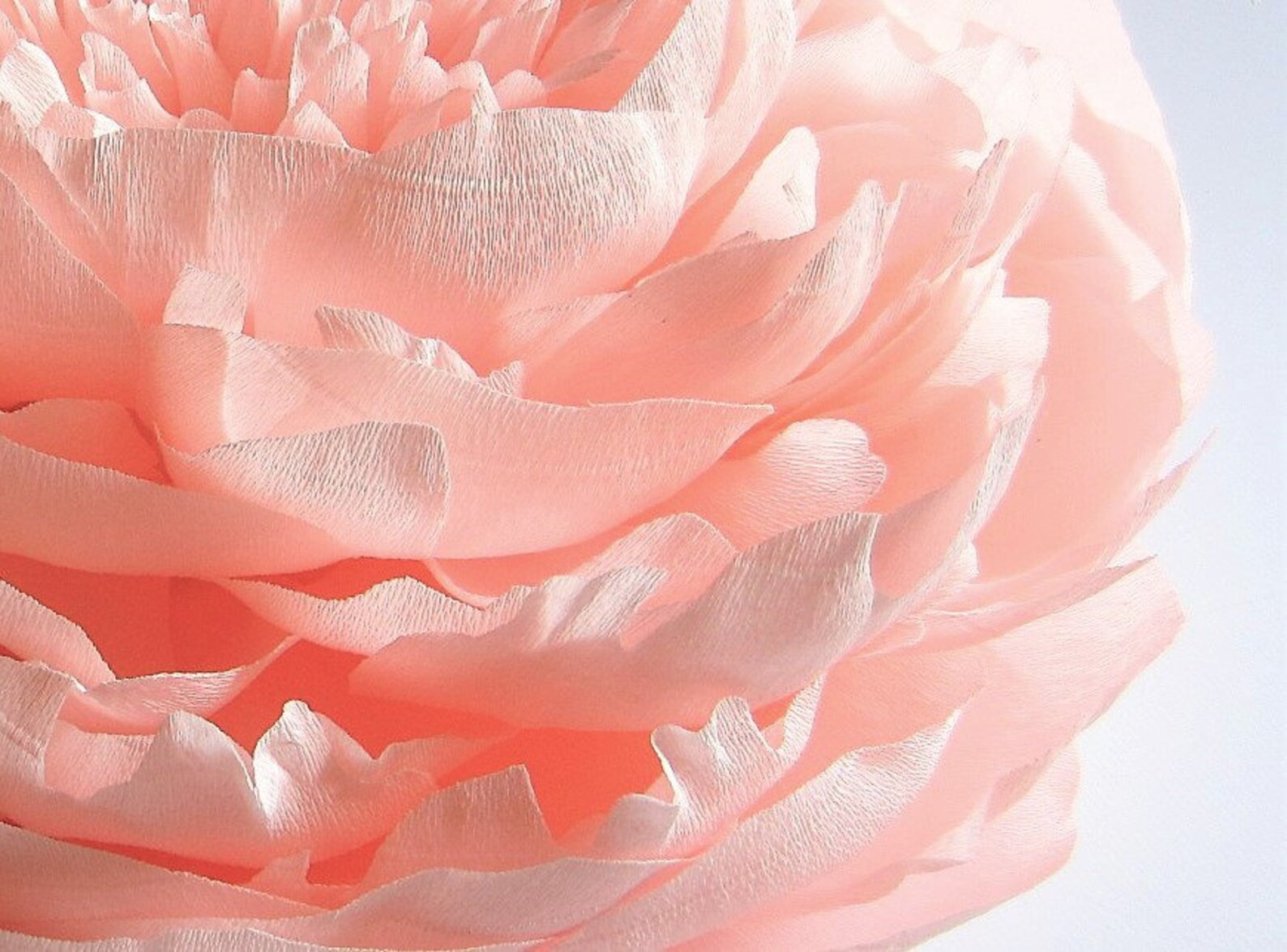 Single Large Paper Flower Wall Nursery Decor Crepe Paper Etsy