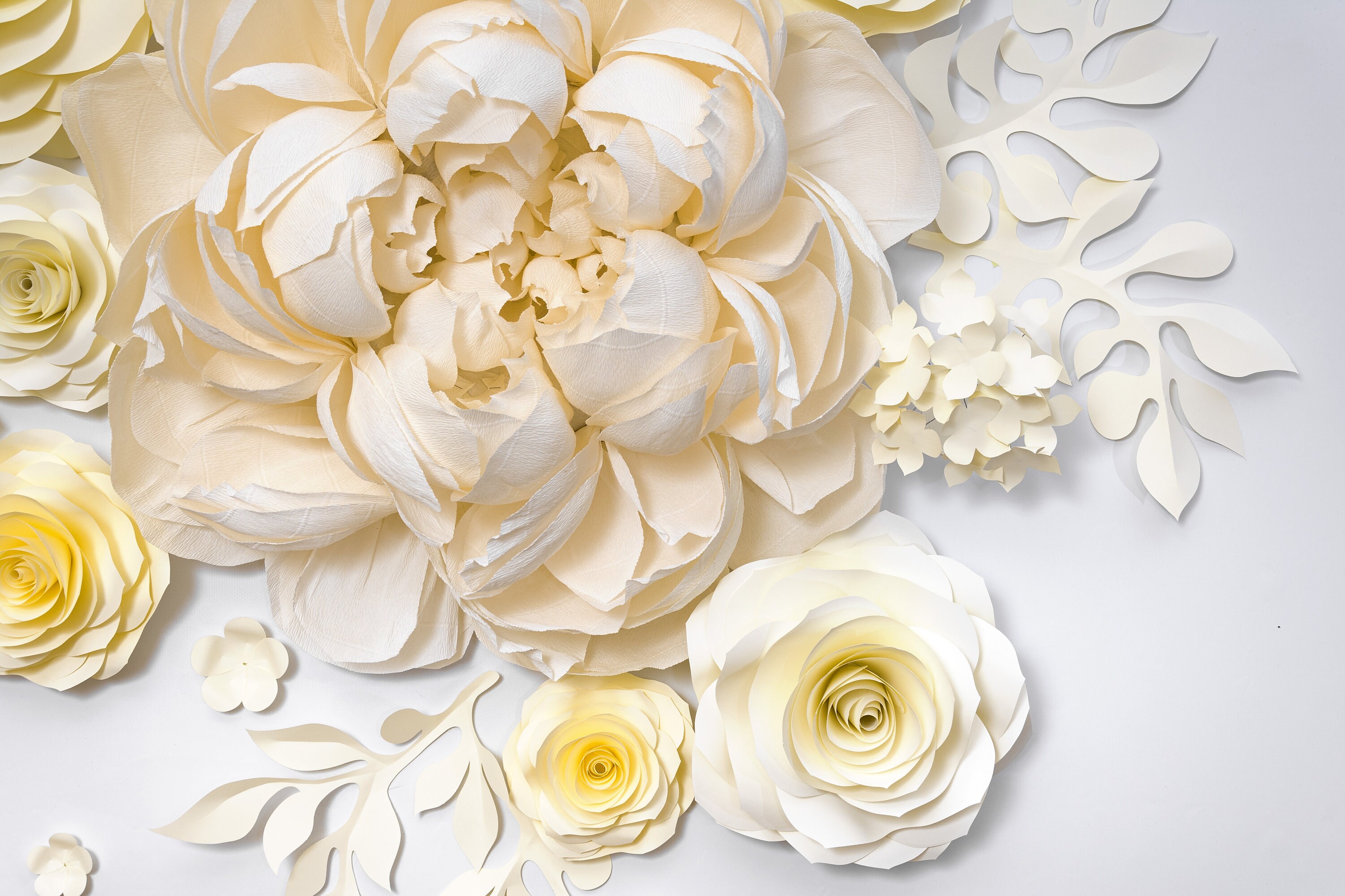 Wedding Backdrop of Crepe Paper Flowers Large Paper Flowers Etsy Polska