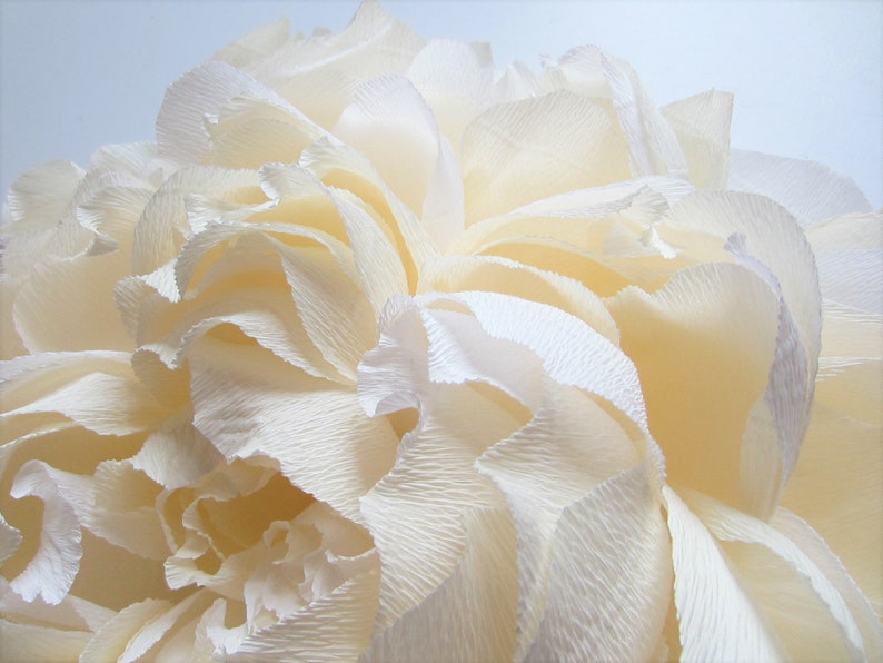 Pu&ograve; includere: Primo piano di un grande fiore di carta bianco con molti strati di petali. Il fiore &egrave; fatto di carta stropicciata e ha una consistenza morbida e delicata.