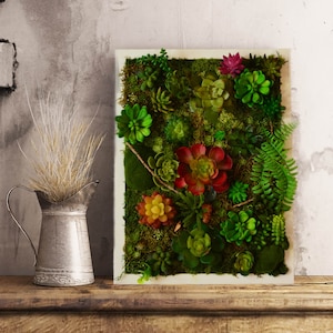 Preserved Moss Wall Art with Faux Succulents: Biophilic Nature Decor