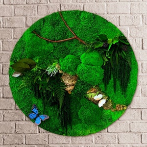 Circular Preserved Moss Wall Art: Interior Green Wall Decor (60/40 CM)
