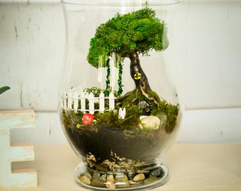 Kit terrarium avec contenant en verre, terrarium en mousse, kit jardin féerique, de jardin féerique, kit de démarrage pour terrarium