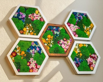 Hexagon Moss Wall Art: Honeycomb Natural Wood Frame & Preserved Reindeer Moss Decor
