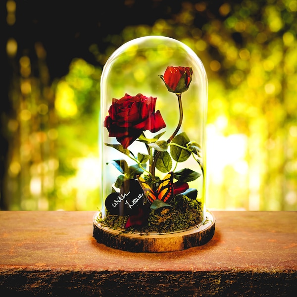 Everlasting rose, Red rose, Enchanted Rose in Glass Dome, valentines gift, beauty and the beast rose, Gift for her, golden anniversary gift,
