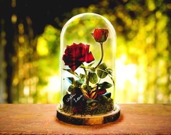 Rose rouge enchantée, cadeau d'anniversaire, porte-boîte de mariage rustique en bois, beauté et la bête inspirée rose dans un dôme de verre,