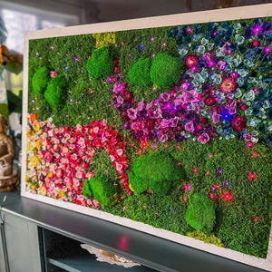 Handmade Lighted Moss Wall Art, Preserved Flowers and Moss Artwork with LED Light, Rainbow Garden Decor