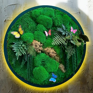 Framed Moss Wall Art with LED Lights: Tropical Home Decor