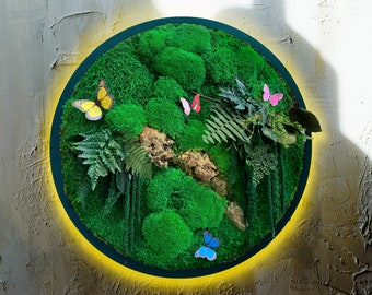 Framed Moss Wall Art with LED Light: Tropical Home Decor with Butterflies