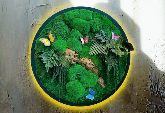 Framed Moss Wall Art with LED Light: Tropical Home Decor with Butterflies