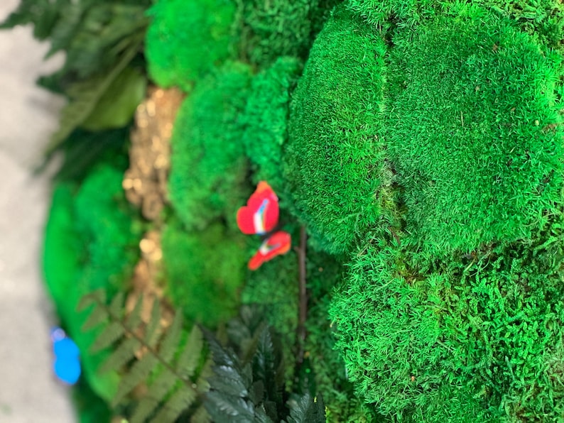 May include: A close-up of a green moss wall with a red butterfly decoration. The moss is a natural material and is often used in home decor.