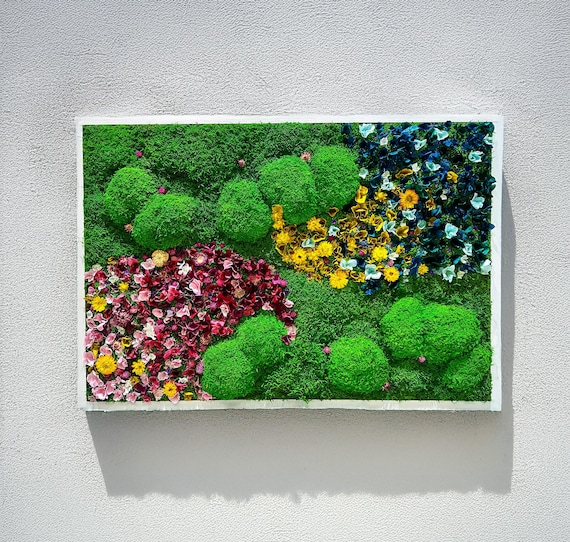 Moos-Wand-Kunst | Konservierte Mooskunst gerahmt | Moos-Wand-Dekor | Mooswand | Konservierte und getrocknete Blumen | Regenbogen | Moos-Wand