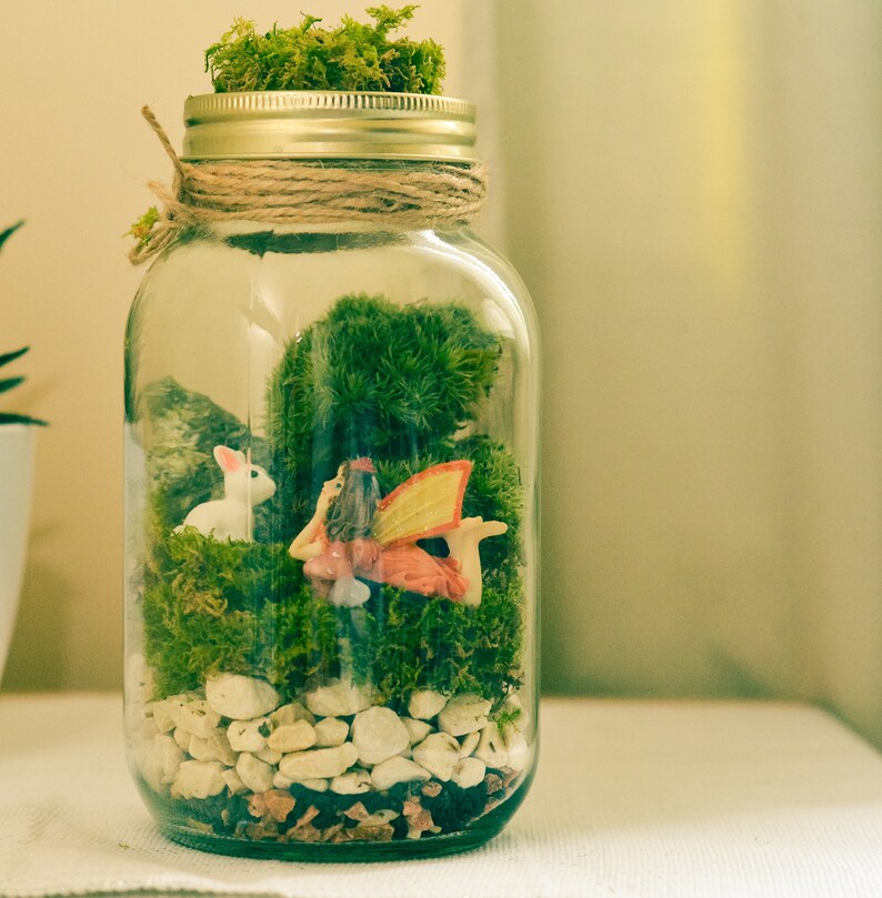 Terrarium Kit Mason Jar Terrarium Preserved Moss Terrarium Etsy UK