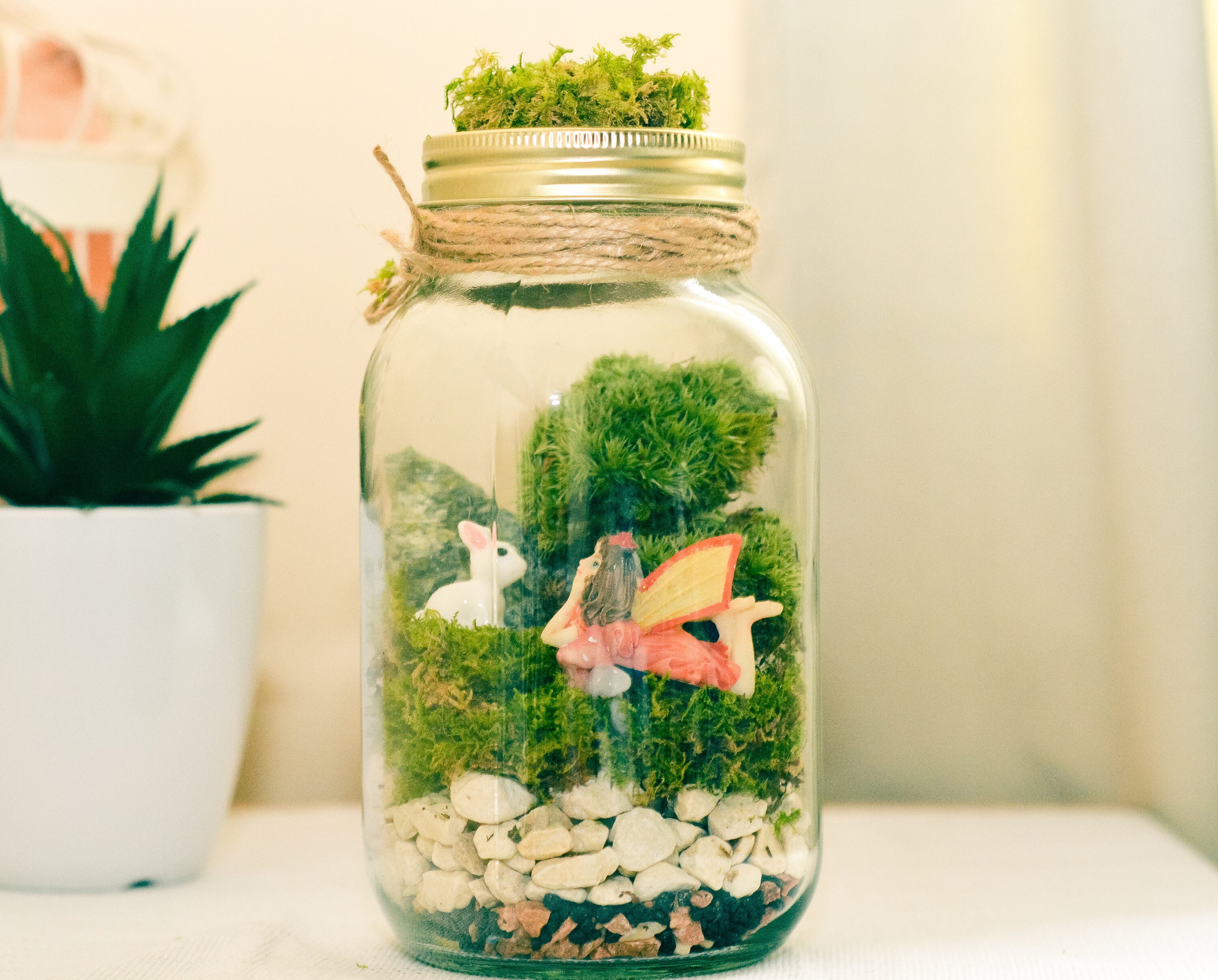 thumbnail interactive-video image 1 of DIY Mason Jar Terrarium Kit - Complete Starter Set For Succulents & Air Plants 1 of 13