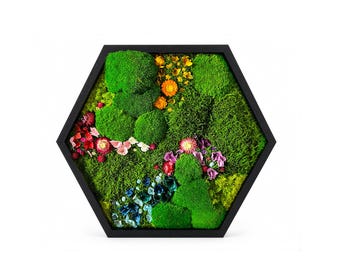 Hexagon Moss Wall Art, Preserved Green Honeycomb Moss Decor, Biophilic Design