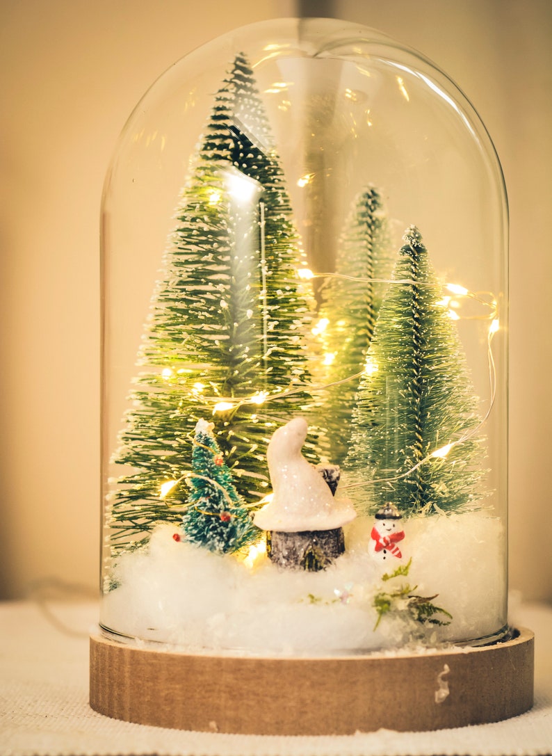 Christmas Terrarium Kit Glass Dome With Fairy Lights Etsy