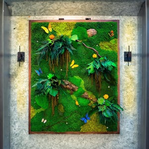 Arte de la pared de musgo, pared de musgo preservada, arte de musgo preservado, arte de pared suculento, paredes pared de musgo con luz,