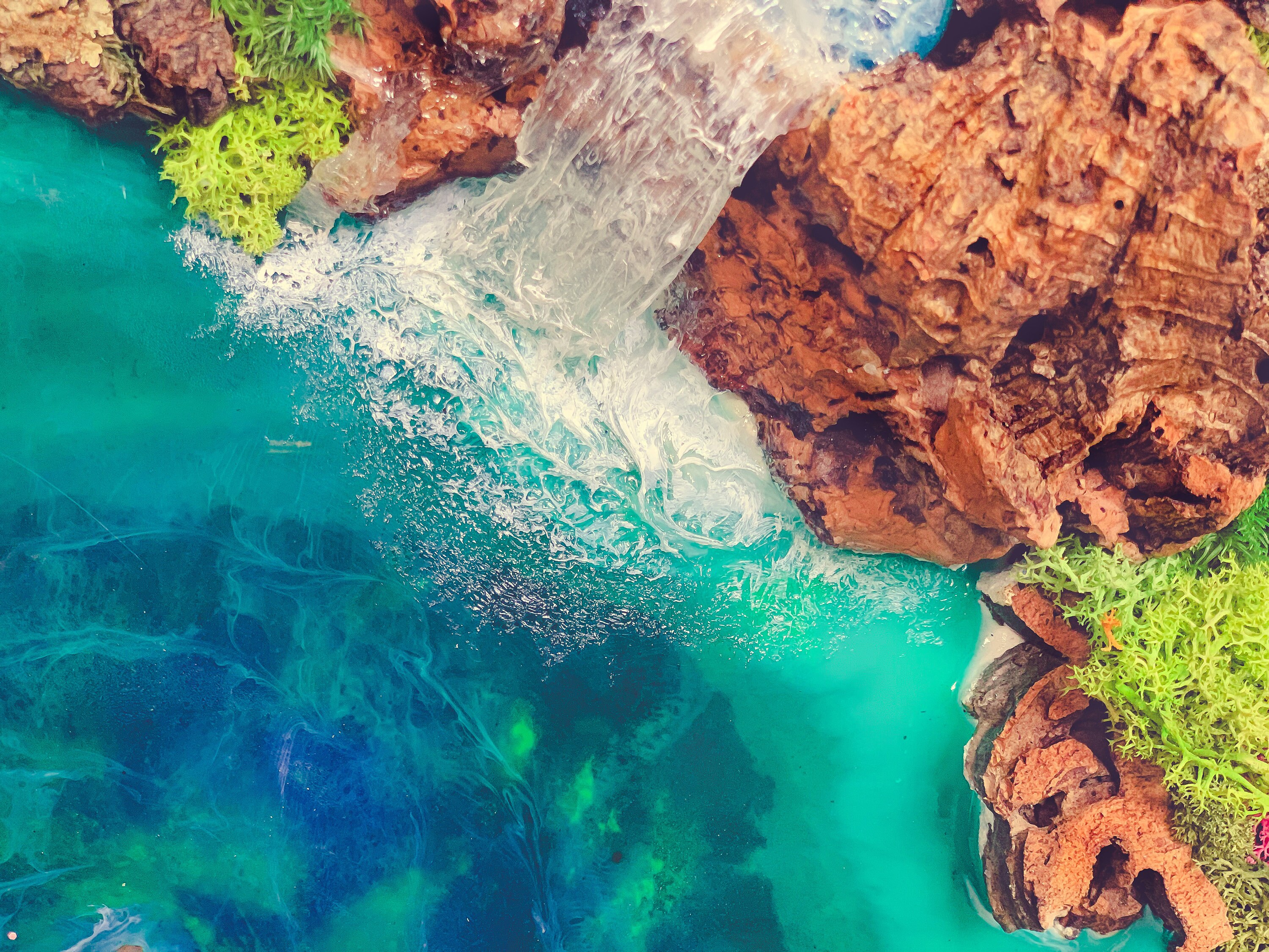 Moss Art Moss Wall Art Preserved Moss Wall Resin Seascape Etsy UK