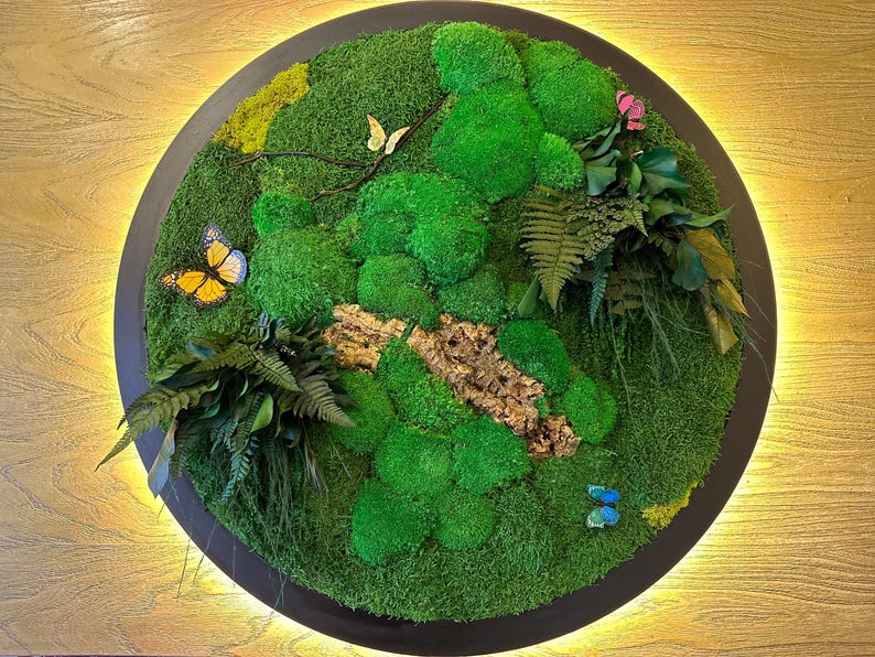 Framed Moss Wall Art with LED Light: Tropical Home Decor with Butterflies image 11
