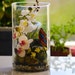 see more listings in the Terrarium, Fairy Garden section