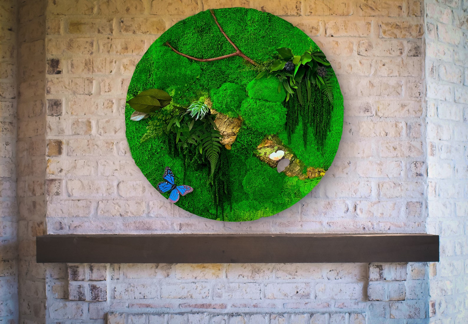 Circular Moss Wall Moss Circle Round Moss Art Preserved Etsy