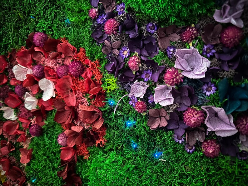 Handmade preserved moss wall art with LED fiber optic firefly lights, featuring vibrant real moss and dried flowers like hydrangeas in a customizable frame (black, white, wood, walnut). This no-maintenance, eco-friendly living wall decor enhances any space with nature’s beauty. Available in multiple sizes, perfect for homes, offices, or as a unique gift. Adds tranquility and organic elegance with lush, colorful moss and soft illumination