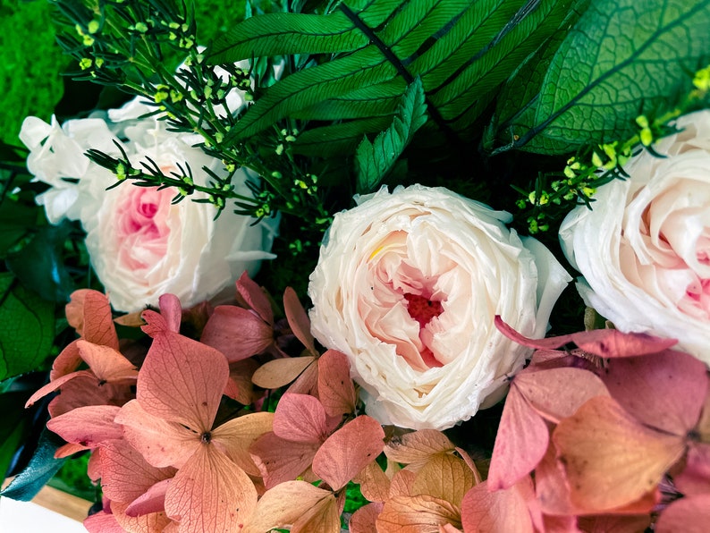 Moss Wall Art Preserved Moss Wall Deer Antler Wall Plaque Etsy UK