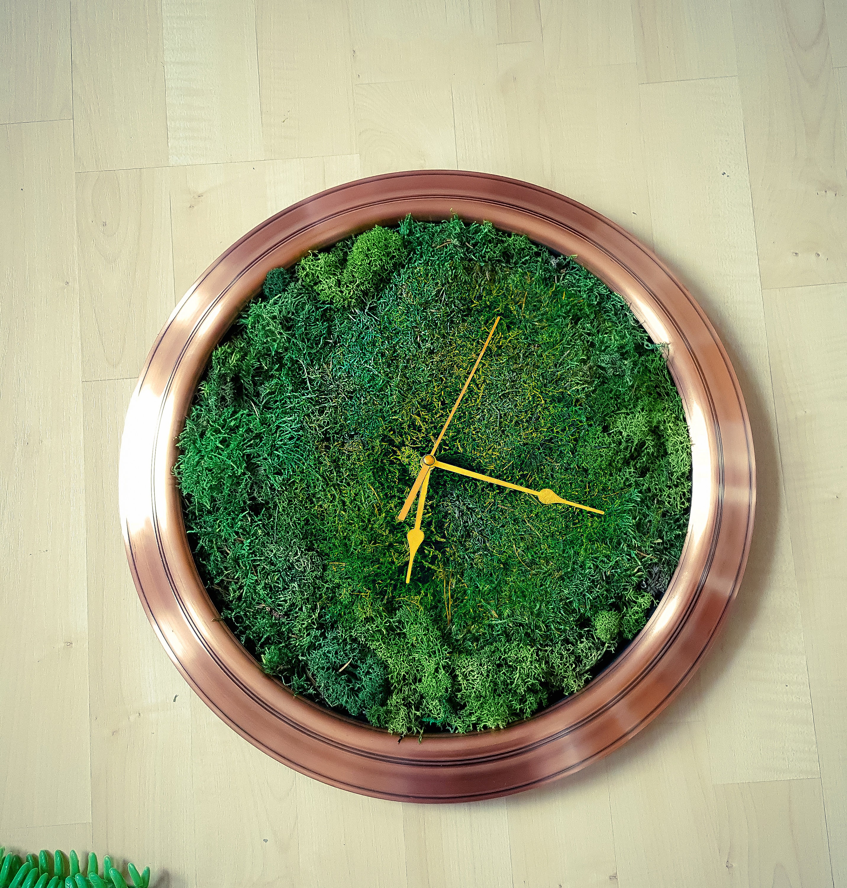 Deliberadamente Hormiga exprimir Relojes Reloj de musgo Reloj de cocina Reloj de pared - Etsy España Deliberadamente Hormiga exprimir Relojes Reloj de musgo Reloj de cocina Reloj de pared - Etsy España