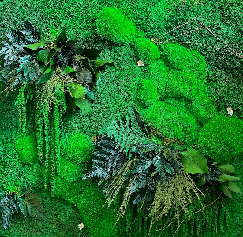 Moss Wall Art Preserved Moss Art Moss Wall Art Set of Two Etsy