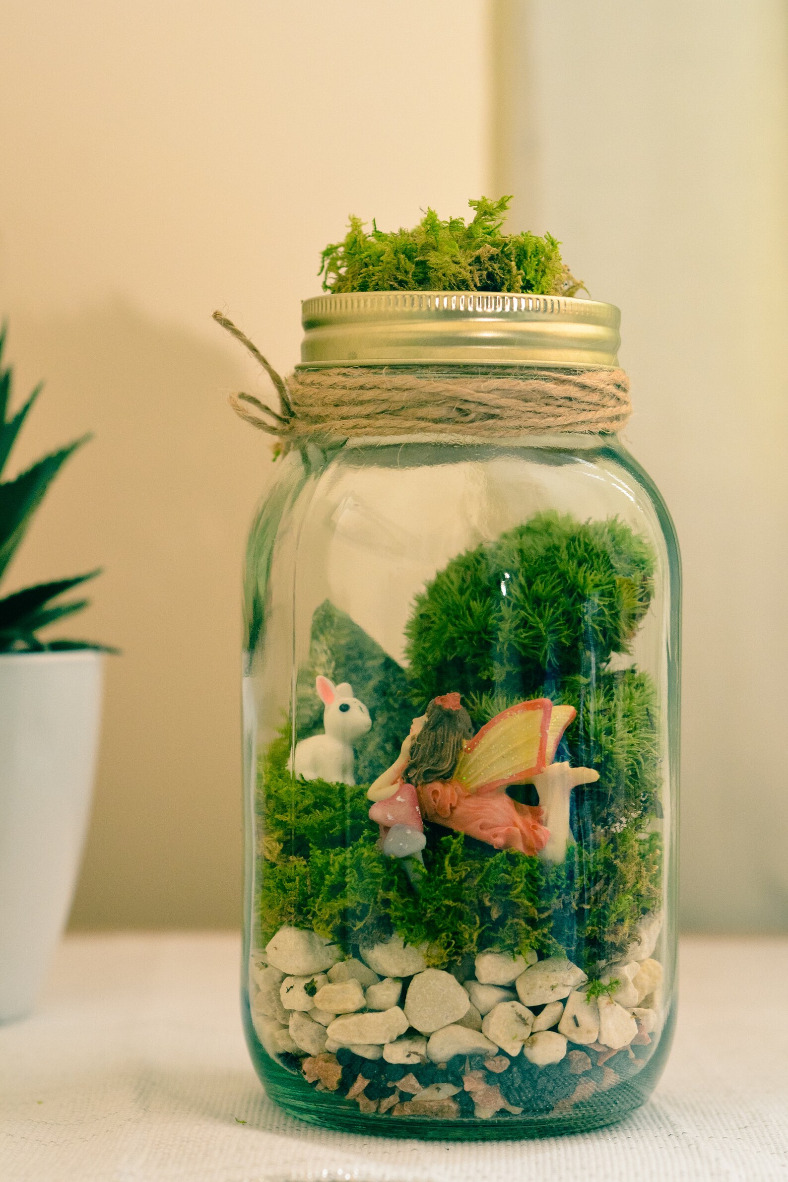 Terrarium Kit Mason Jar Terrarium Preserved Moss Terrarium Etsy UK